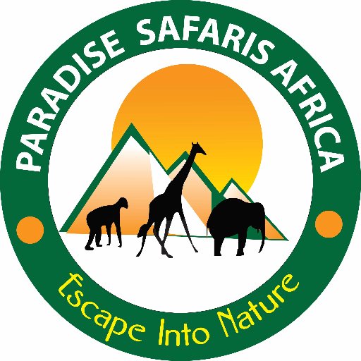 paradise_africa's profile picture. We're a Rwandan registered full-service travel agency, catering to everyonefrom backpackers to luxury travellers. We love to share the beautyandculture in Afric