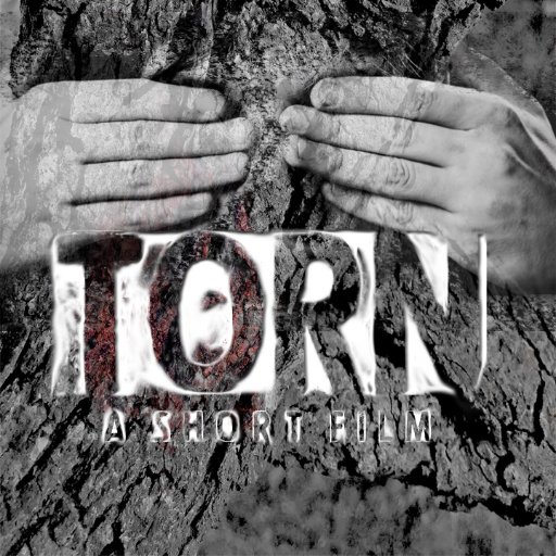 torn_ashortfilm Profile Picture