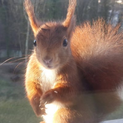 sylvie_salles21's profile picture. IEN ASH 21 Académie de Dijon