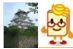 スキャネット株式会社 大阪営業部 
特注マークシートのご提案、作成を得意とします。
マークシートで業務改善のお手伝いをさせていただきます。
マークシートはスキャネットシート！