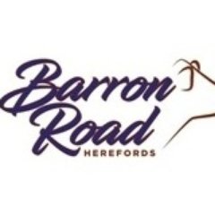 BarronRdHerfs's profile picture. 