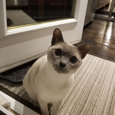 robsoda's profile picture. CPA,Chartered Accountant, economics, sailing and space enthusiast.