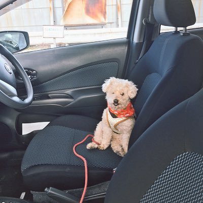 pORnkYEnpixsSqG's profile picture. 膳所→駿台→阪大🇨🇳 バド部ヽ(´▽｀)/