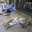 JoanL007's profile image