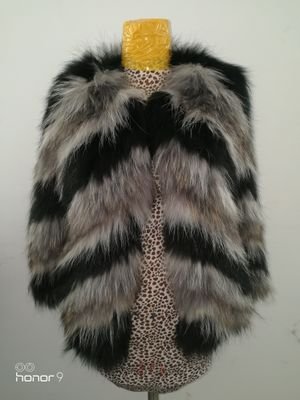 setsumeiki's profile picture. 商業與金融