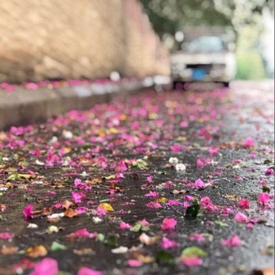 موجز آلحِكَاية : آنيّ آحببتُ من ليس لي..