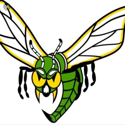 EdinaBaseball's profile picture. Official Edina Hornets Baseball