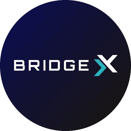 BridgeX Network Profile