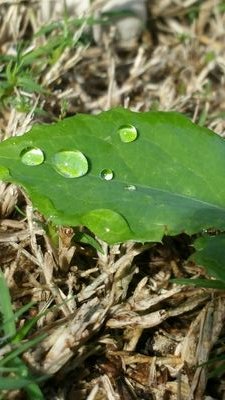 491Riskit's profile picture. Hi...