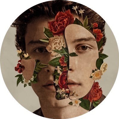 follow me back 💚Shawn Mendes is my favourite person and singer💛💛