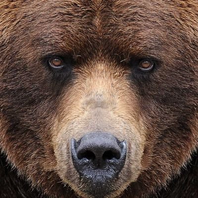 GeroTde's profile picture. Planning stratégique @agence_wat / ex @angieplusun. J'ai le mérite d'être curieux mais ça n'engage que moi.