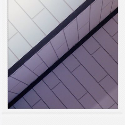 FLWwHmdNKRtvNvZ's profile picture. 