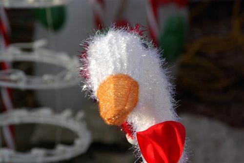 Bill_Gallery29's profile picture. 