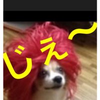 じぇ〜（5月2.3参戦）イエローハート号作製中 (@jjj3jjj3jjj3jjj) Twitter profile photo