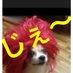 じぇ〜(5月2.3参戦)イエローハート号作製中 (@jjj3jjj3jjj3jjj) Twitter profile photo じぇ〜(5月2.3参戦)イエローハート号作製中 (@jjj3jjj3jjj3jjj) Twitter profile photo