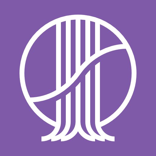 Synteda Profile