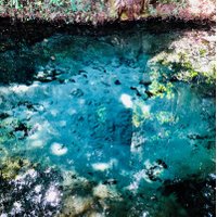 泉神社 (@izm12680463) 's Twitter Profile Photo