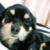 ピロ\(卍`З´)/リソ∞ (@hyrok777) Twitter profile photo ピロ\(卍`З´)/リソ∞ (@hyrok777) Twitter profile photo