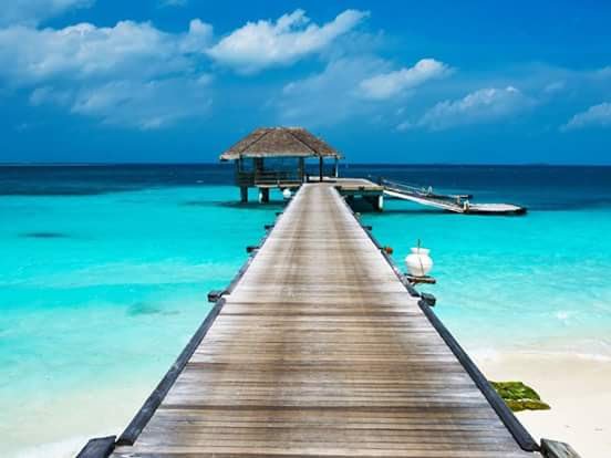 IeveT1's profile picture. รักและห่วงใยเสมอ