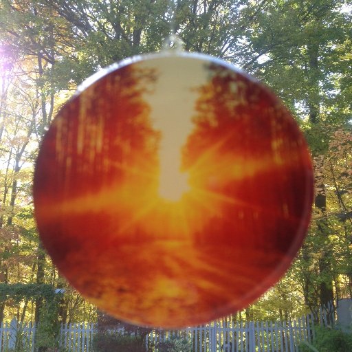 jaywalkow's profile picture. joined b/c I wanted to watch Gilbert’s plane