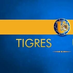 Orgulloso Padre de Familia, Tigre de corazón, amante del Ajedrez, Cerati y los asados, consciente de que la distancia a las metas solo son webos y actitud.