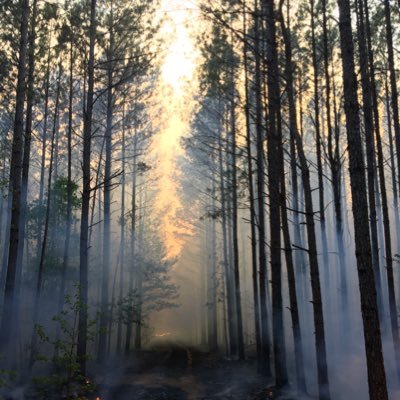 LFM436's profile picture. 