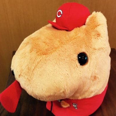 カープ専用あか 東京在住広島出身 carp #14 #18 応援٩(˙▿˙)۶ カープファンのみフォローOK♪ フォローされると喜びます。たくさんのカープファンと繋がりたいです◡̈♥︎写真の無断転載✖️