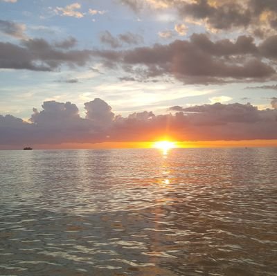 SherriYounger's profile picture. 