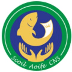 Scoil Aoife Community National School provides children of all beliefs and none with effective life skills and a well-rounded education.