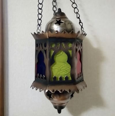 BorrowedNoodle's profile picture. I am borrowed noodle. 
All of the signs say I should have been a cat.