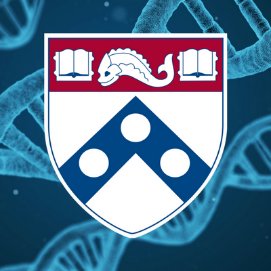 Preclinical & fundamental research at Penn Medicine. Looking at life in the dish, through the microscope, and in the cloud.