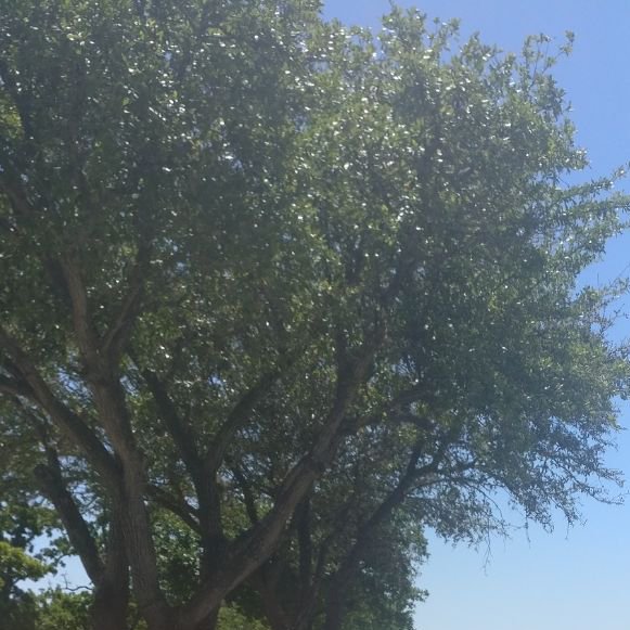 mailbuvoguee's profile picture. Wanna stay fresh on the new music