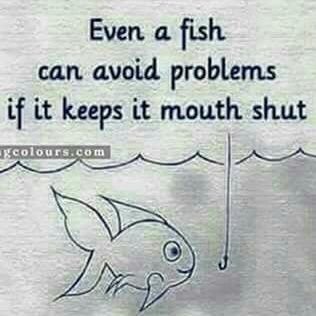 KingShabba06's profile picture. Humble Kind Loving African.God Fearing Man. Positivity Keeps me Going!