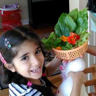 Give your kids and students the magical experience of building, growing and harvesting from THEIR OWN garden.