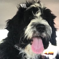 John (@jmosley041963) 's Twitter Profile