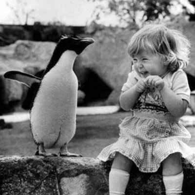 Dazzacford's profile picture. 