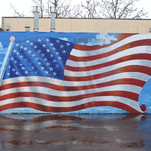 Albany Mural Project is for public art mural excellence that inspires and uplifts everyone who see our art on the walls that once did not speak to them.
