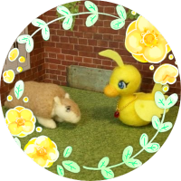 茅 (@chigaya8) 's Twitter Profile Photo 茅 (@chigaya8) 's Twitter Profile Photo