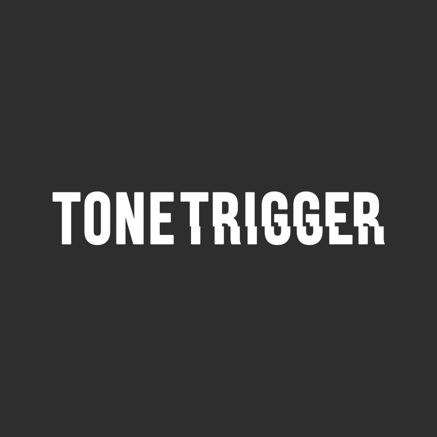Tonetrigger biedt coaching, advies en ondersteuning op het gebied van muziekmanagement en cultureel ondernemerschap.