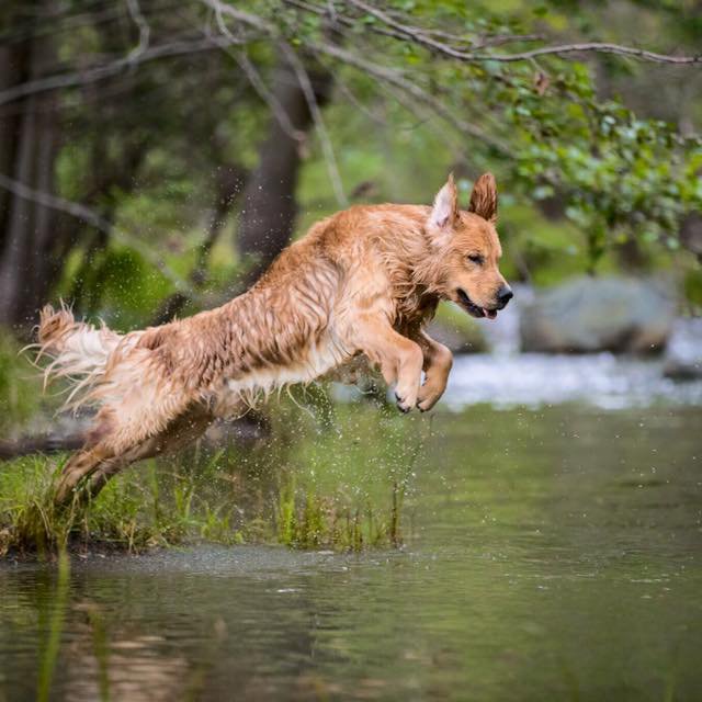 Jamie_GlewEng's profile picture. Working Type