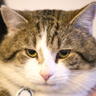 sub13369852's profile picture. เรื่องตลก ความบันเทิงทั่วไป