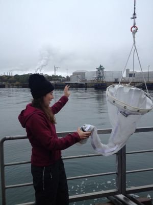 PhD candidate at Northeastern's Marine Science Center studying coral reefs and zooplankton community dynamics; excited for a career bridging science & policy.