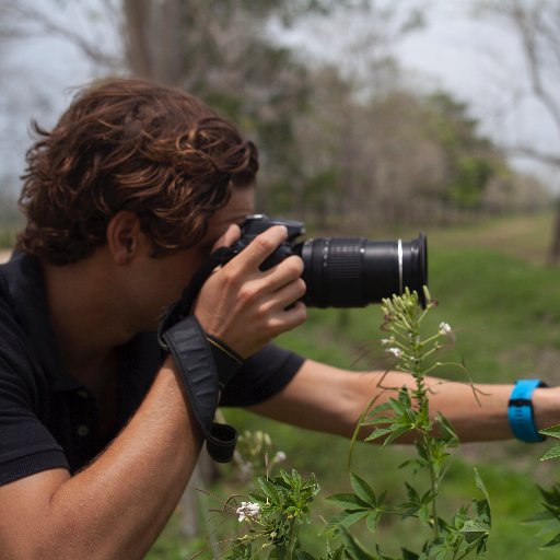 PhD #UrbanEcology. Likes plants, fungi, and insects. Squash player. Cinéfilo, salsómano, y lector empedernido. 🇨🇴🇦🇺