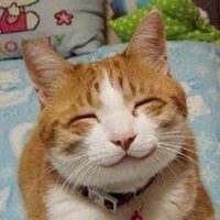 ビトク/ふっくす (@bitoku_btc) 's Twitter Profile