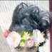 لووووودي (@lo0dy201) Twitter profile photo لووووودي (@lo0dy201) Twitter profile photo