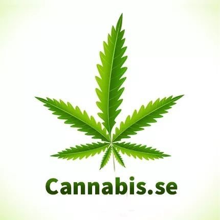 CannabisSE Profile Picture