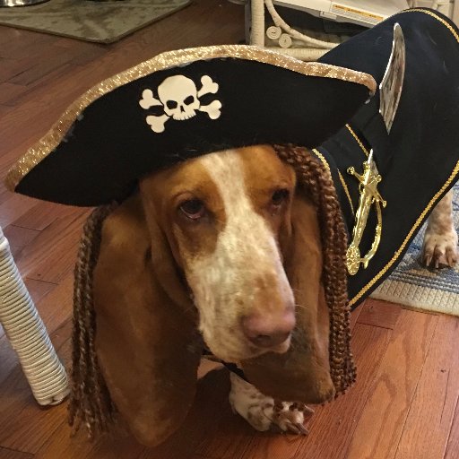 YaYalovesGus's profile picture. American Girl doll clothes and accessories