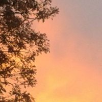 Sophia Touzani (@sophiatouzani) 's Twitter Profile