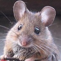 Marko Uimonen (@markouimonen) 's Twitter Profile