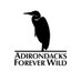 Wild Adirondacks (@WildAdks) Twitter profile photo